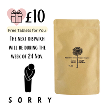 Cargar imagen en el visor de la galería, Fermented Green Papaya Enzyme EX50 270g (540 tablets)