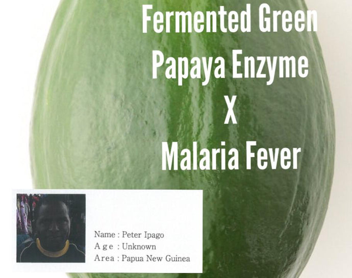 Malaria Fever x Fermented Green Papaya Enzyme