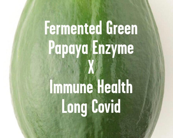 Immune Health & Long Covid x Fermented Green Papaya Enzyme