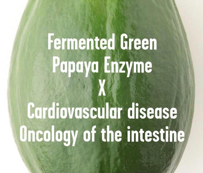 Cardiovascular disease & Oncology of the intestine x Fermented Green Papaya Enzyme